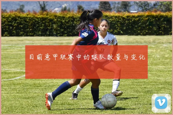 目前意甲联赛中的球队数量与变化