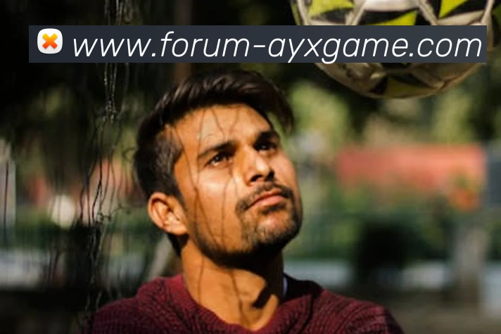 爱游戏平台生态图